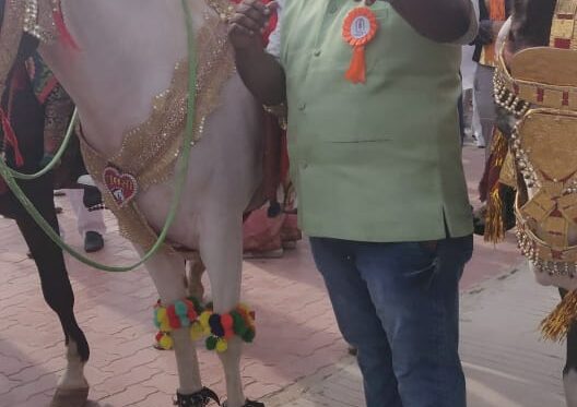 EC Meeting Dwarka – Gujrat